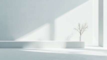 Minimalist white room interior with sunlight, platform, and dried plant.