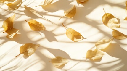 Golden autumn leaves scattered on a light background, with shadows