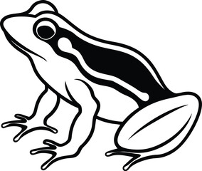 Obraz premium frog on a white