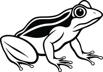 frog sitting on a branch