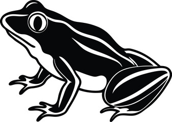frog on white