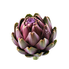Fototapeta premium a-single-vibrant-purple white and transparent background.