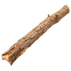 Naklejka premium Dry branch isolated on a transparent background