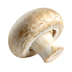 Mushroom cap isolated on a transparent background