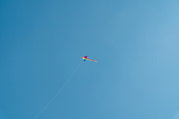 Kite in the blue sky