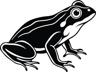 vector illustration of a frog