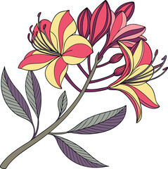 Colored Flower Design Illustration. Creative Colored Flower Art. Unique Colored Flower Design. Colorful Flower Graphic Design. Artistic Colored Flower Drawing