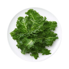 Fresh Organic Kale Leaves on a White Plate