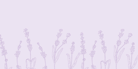 lavender flowers background. Trendy botanical wallpaper. Hand drawn line leaves branches and blooming. Wedding elegant wildflowers for invitation save the date card.