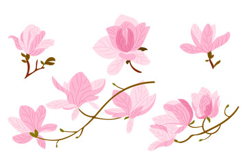 Hand drawn vector set of blooming pink magnolia flowers and branches on white background. Concept of springtime, floral elegance and natural beauty in soft botanical illustration