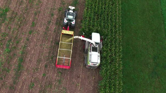 Drone Footage of Corn Harvest with Tractors and Agricultural Machinery &ndash; Aerial View of Modern Farming