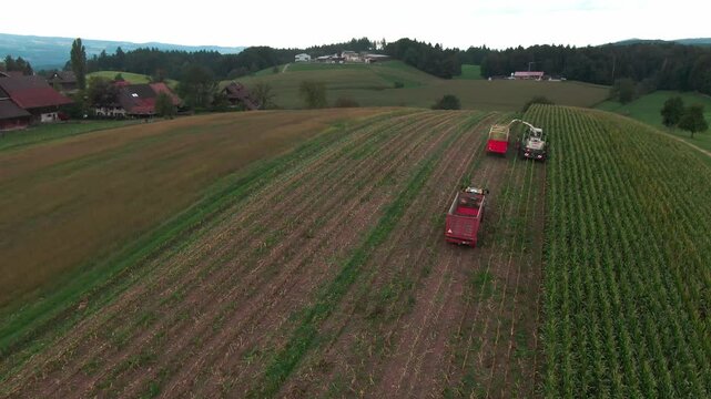 Drone Footage of Corn Harvest with Tractors and Agricultural Machinery &ndash; Aerial View of Modern Farming