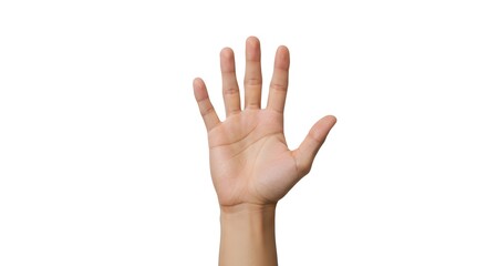 Fototapeta premium Hand Reaching Up with Open Palm Isolated on White