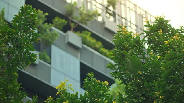 Close-up of green tree with blurred modern building in background &ndash; eco-friendly, sustainable architecture, green design and carbon dioxide reduction concept for urban environment