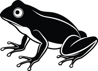 frog isolated on white