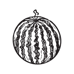 Whole round shape striped watermelon in black brush stroke texture isolated on white. Hand drawn vector sketch illustration in vintage charcoal ink. Summer juicy fruit, berry, harvest concept