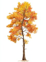 Autumn Tree with Vibrant Orange and Yellow Leaves