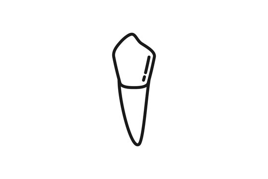 canines teetch outline icon dental