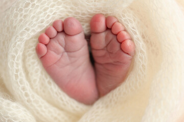 Soft feet of a newborn in a white woolen blanket. Close up of toes, heels and feet of a newborn baby