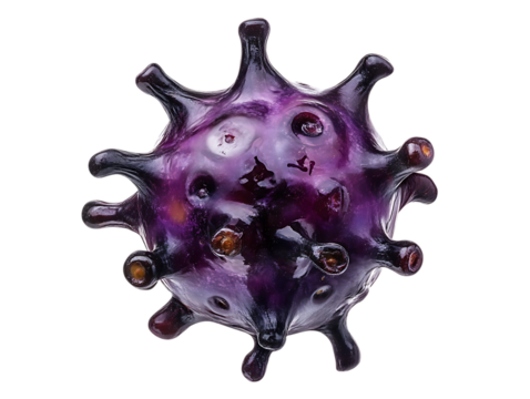 black grape on png