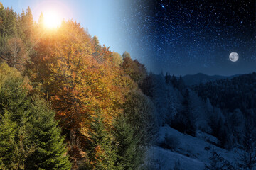 Beautiful mountain forest by day and night. Combined design