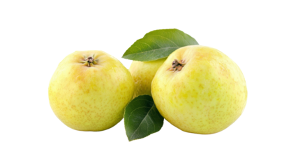 Three Juicy Yellow Apples with Green Leaves