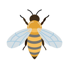 Bee: The Diligent Pollinators of Nature