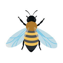 Bee: The Diligent Pollinators of Nature