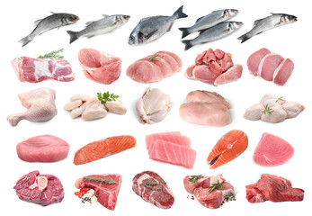 Fish and meat. Different fresh raw products on white background, collage