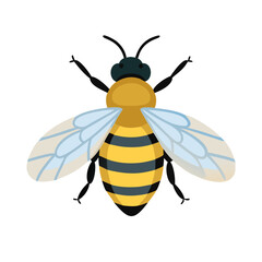 Bee: The Diligent Pollinators of Nature