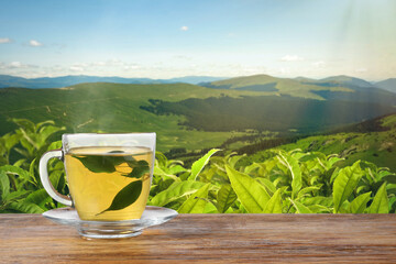Cup of green tea on wooden table against tea plantation in mountains. Space for text