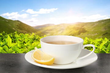 Cup of green tea and lemon wedge on black table against tea plantation in mountains