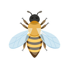 Bee: The Diligent Pollinators of Nature