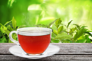 Cup of tea on wooden table in tea plantation. Space for text