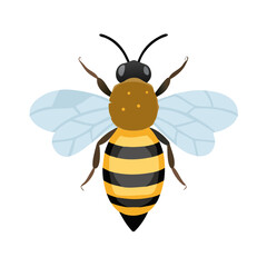 Bee: The Diligent Pollinators of Nature