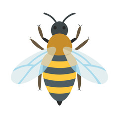 Bee: The Diligent Pollinators of Nature