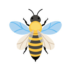 Bee: The Diligent Pollinators of Nature