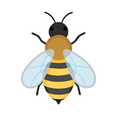 Bee: The Diligent Pollinators of Nature