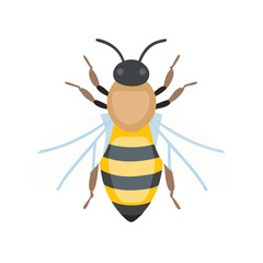 Bee: The Diligent Pollinators of Nature