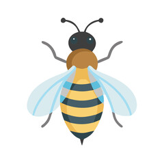 Bee: The Diligent Pollinators of Nature