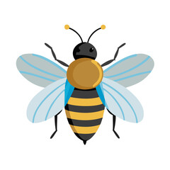 Bee: The Diligent Pollinators of Nature