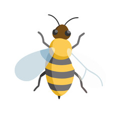 Bee: The Diligent Pollinators of Nature