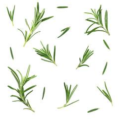 Fresh aromatic rosemary isolated on white, collage
