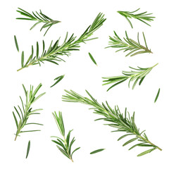 Obraz premium Fresh aromatic rosemary isolated on white, collage