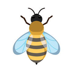 Bee: The Diligent Pollinators of Nature
