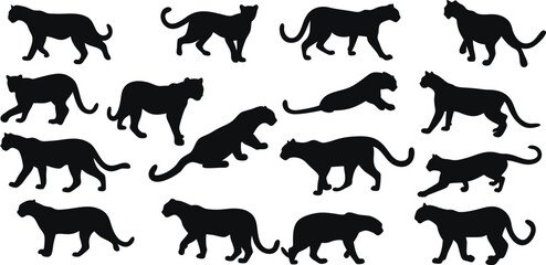 Fototapeta premium Leopard Silhouette Set - Sleek Wild Cat Outlines for Logos, Safari Designs & Predator Themes. High-Quality Vector Art in Black & White. Ideal for Branding, Apparel & Wildlife Decor.