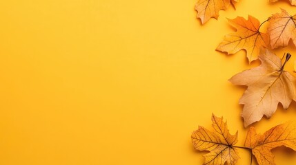 Fototapeta premium Autumn leaves on orange background overhead flat lay copy space