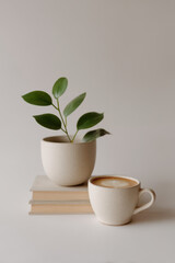 minimalist scene showcasing neatly arranged items like books cups and plants emphasizing order and harmony