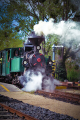 Naklejka premium Steam locomotive