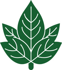 Leaf line art, leaf Silhouette